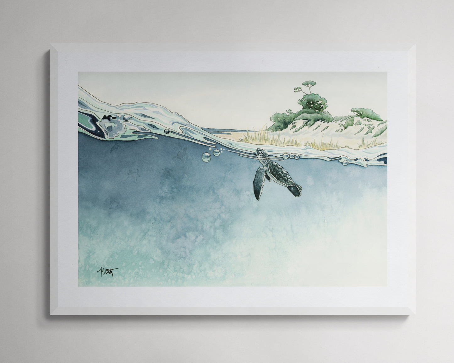 Gems of the Gulf — Sea Turtle Hatchlings Fine Art Print