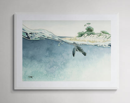 Gems of the Gulf — Sea Turtle Hatchlings Fine Art Print