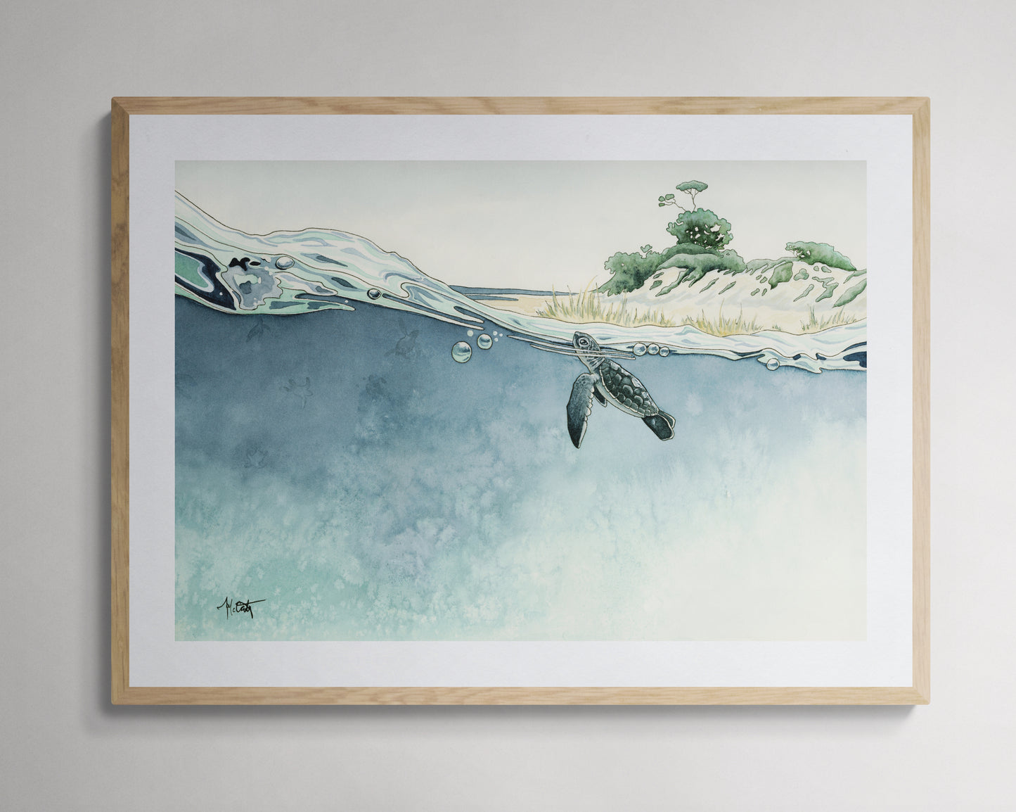 Gems of the Gulf — Sea Turtle Hatchlings Fine Art Print