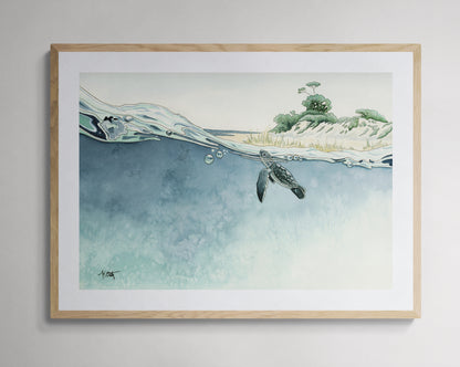Gems of the Gulf — Sea Turtle Hatchlings Fine Art Print