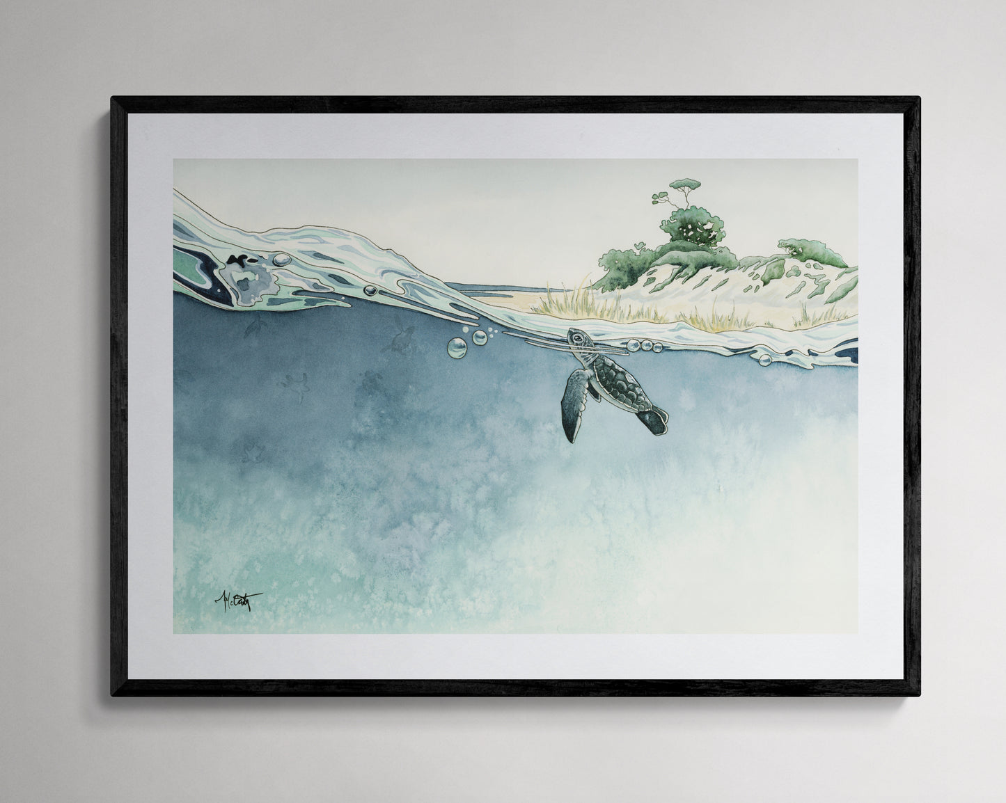 Gems of the Gulf — Sea Turtle Hatchlings Fine Art Print