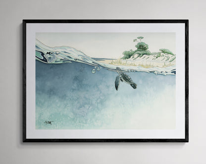 Gems of the Gulf — Sea Turtle Hatchlings Fine Art Print