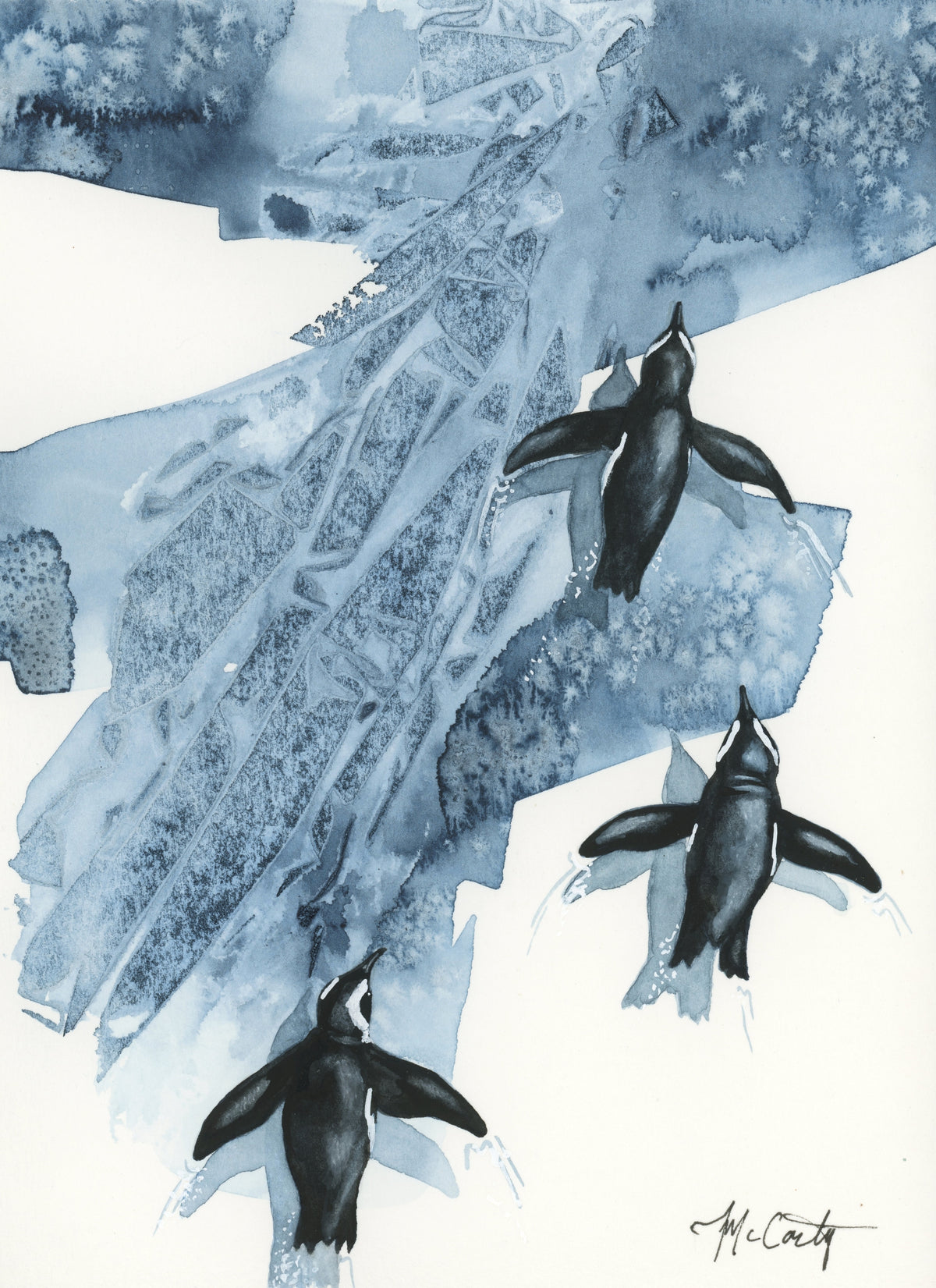 Tuxedo Trio Study