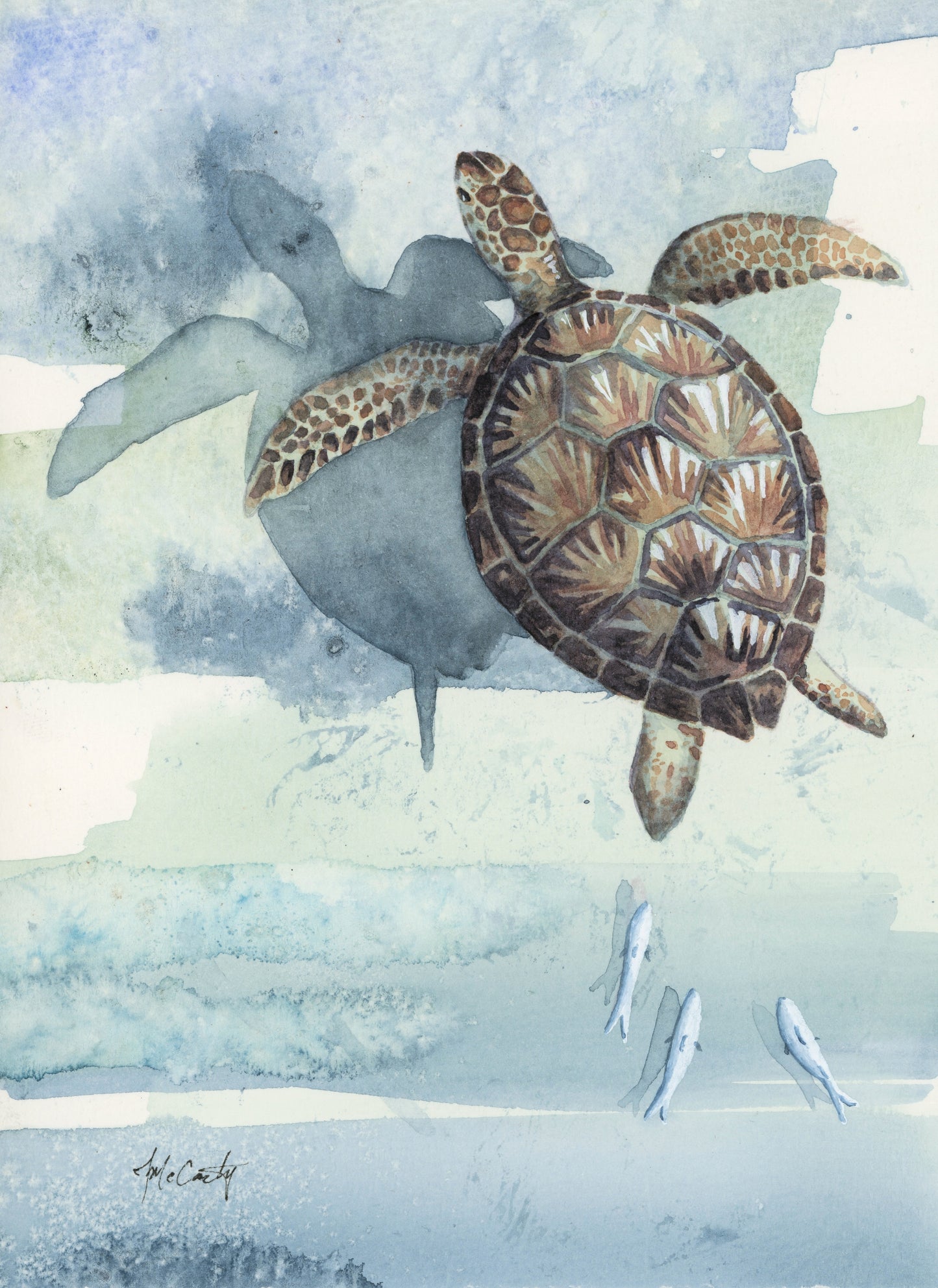 Gliding Bahama Sea Turtle Study | 5"x7"