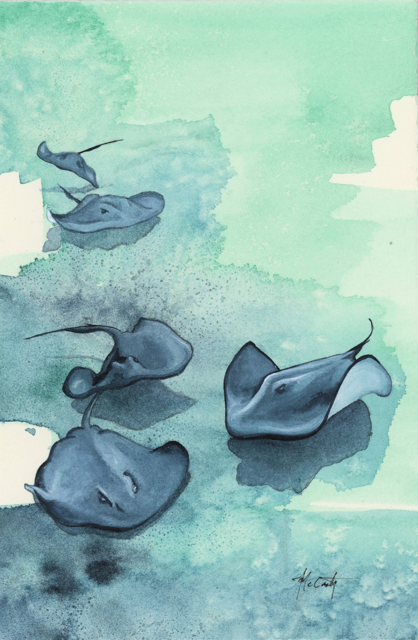 Stingray Study | 4"x6"