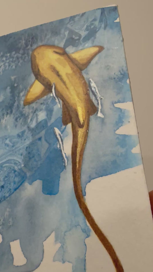 Nurse Shark Study | 4"x6"
